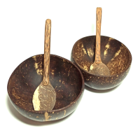 Set 2 Coco bowl + 2 Coco Cuchara